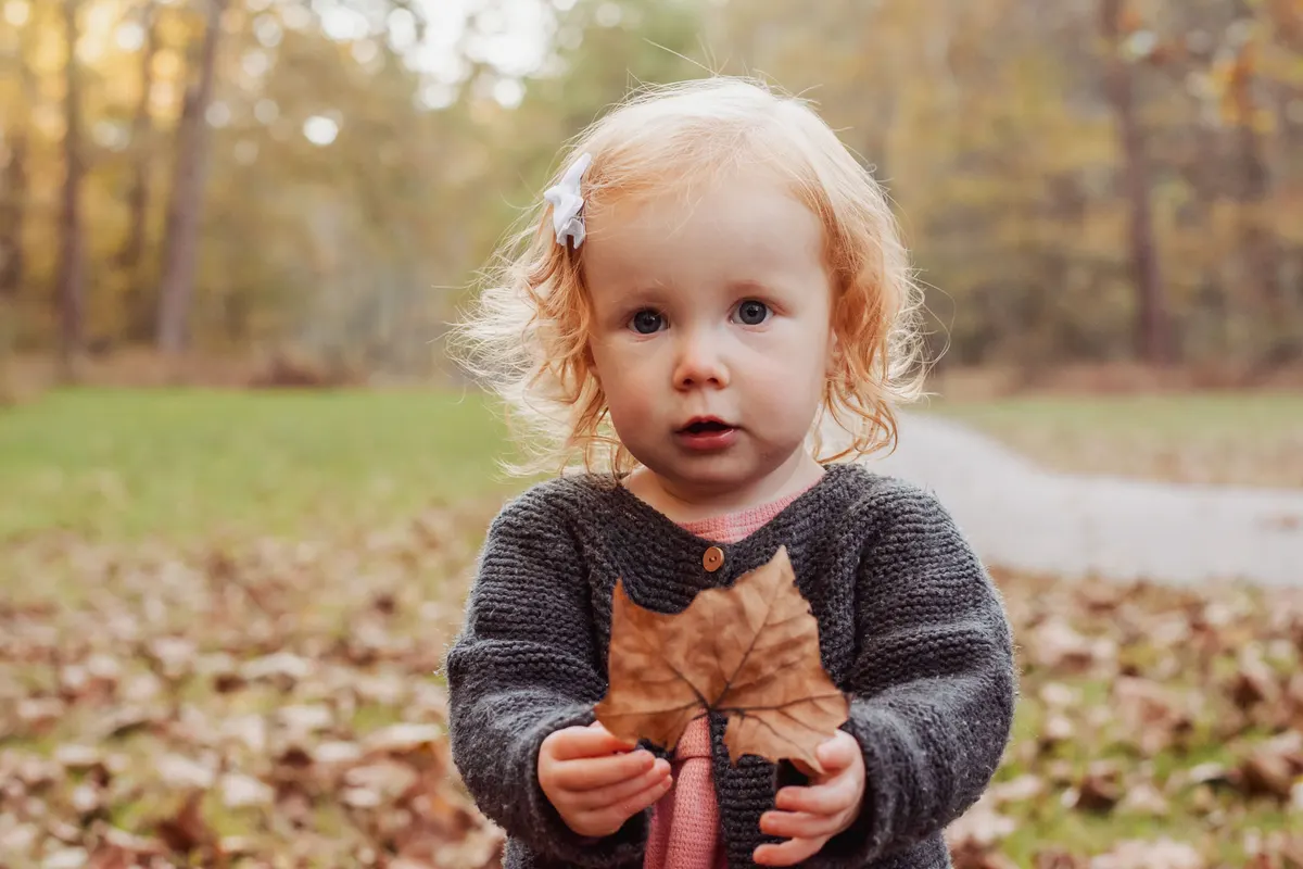 Toddler holding up a fall leaf during a South Hills family session